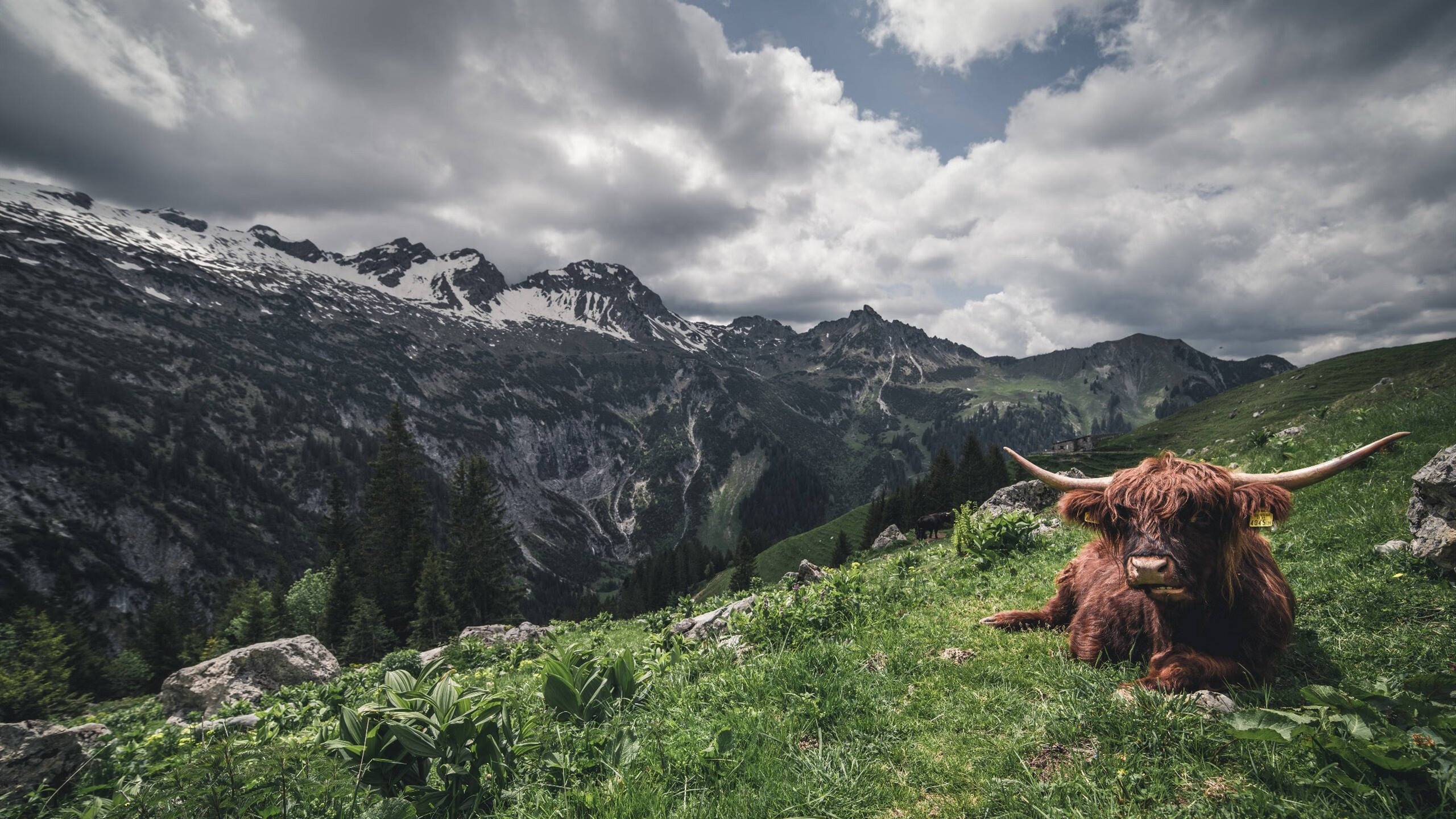 奥预赛U23国足爆冷 战术安排引发质疑，u23是国奥吗