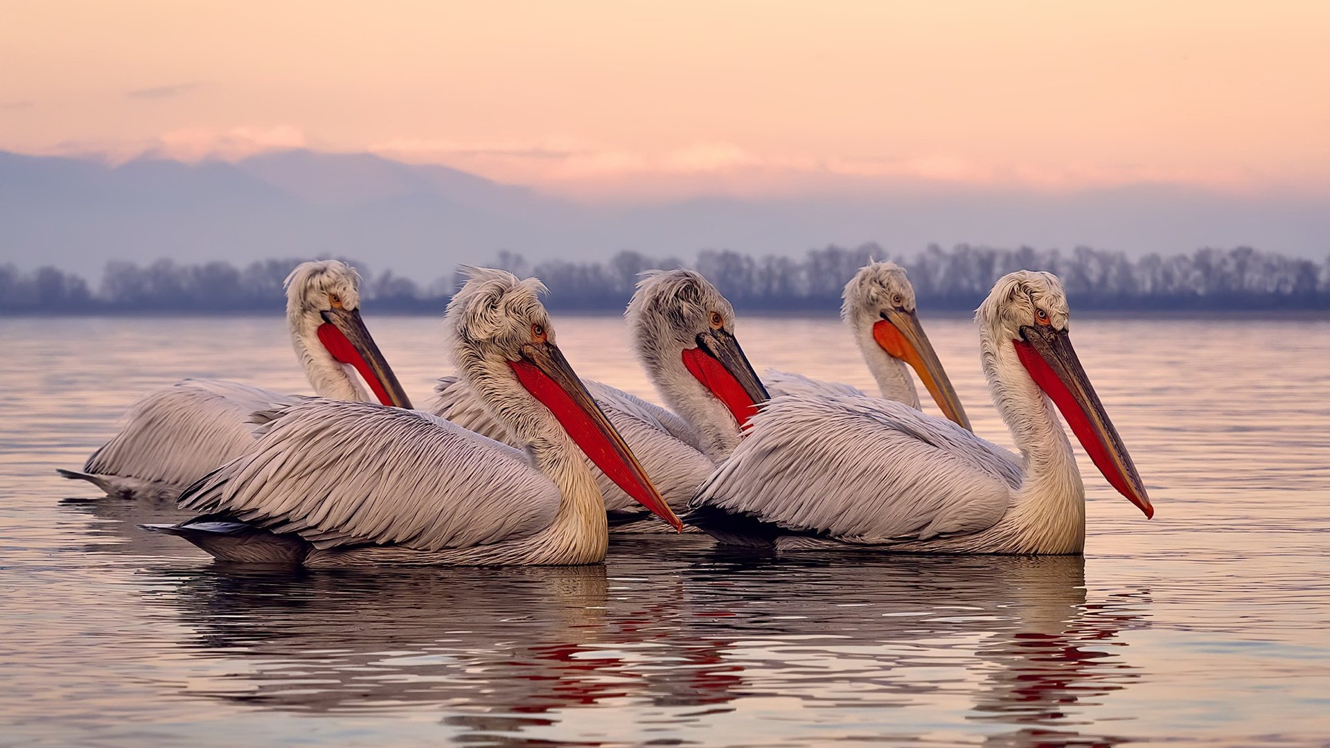 快节奏中球员的持球决策速度是否决定得分效率，快节奏足球