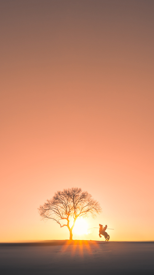 东亚杯中国女足晋级 球员信心十足，中国女足东亚杯最新消息
