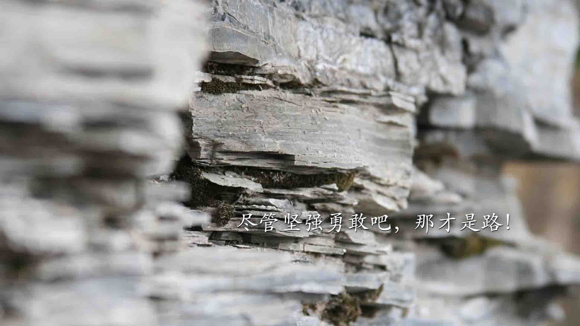 澳男将首次闯入蝶泳项目奖牌区，奥运会蝶泳1v7