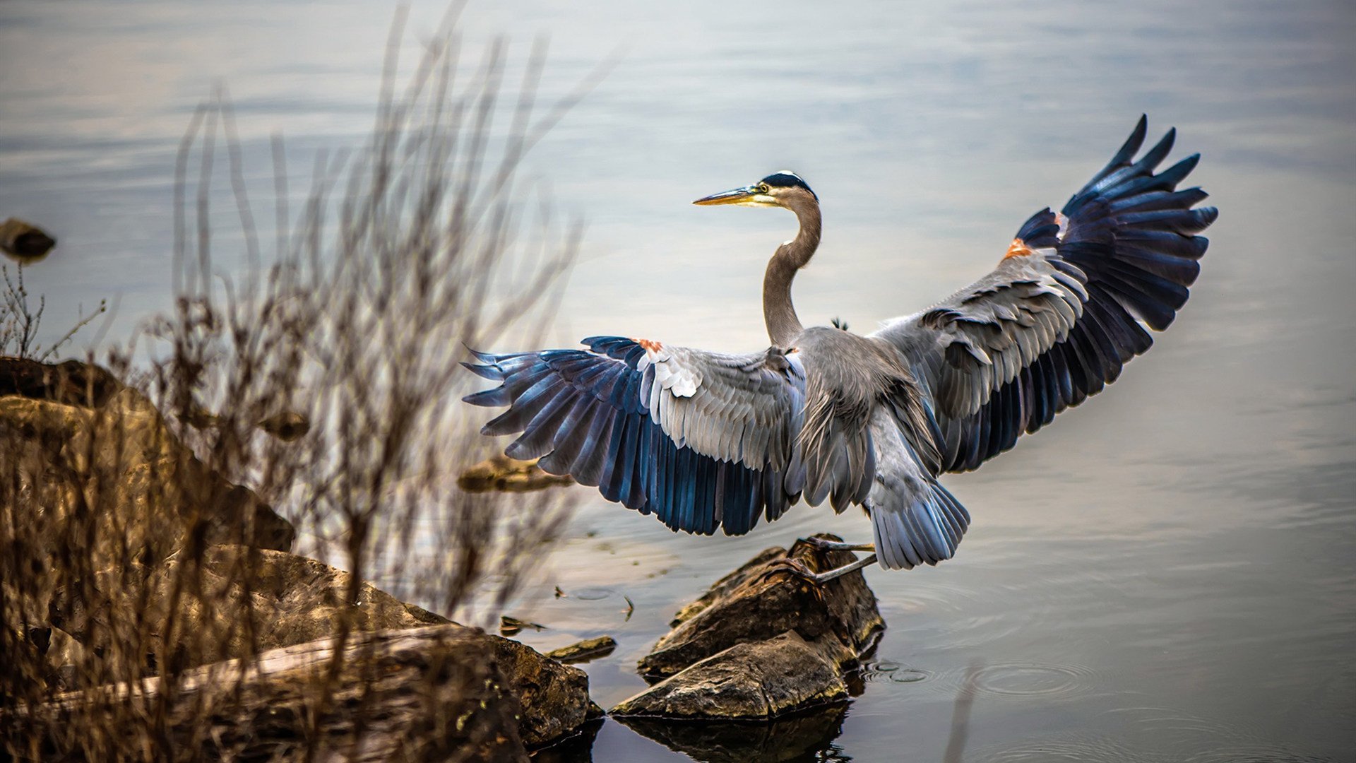 开云官网登录-观众互动体验升级丰富赛事参与感，观众互动环节