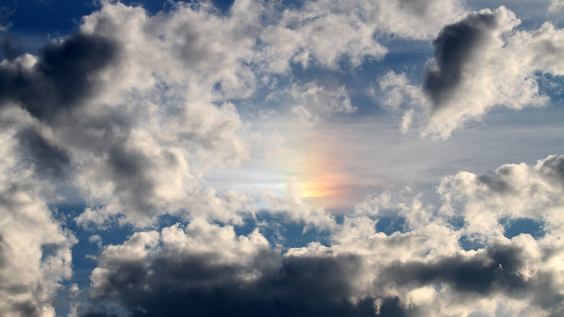 2026世界杯:全新场馆设计融合绿色环保与高科技元素,世界杯预选赛 场馆