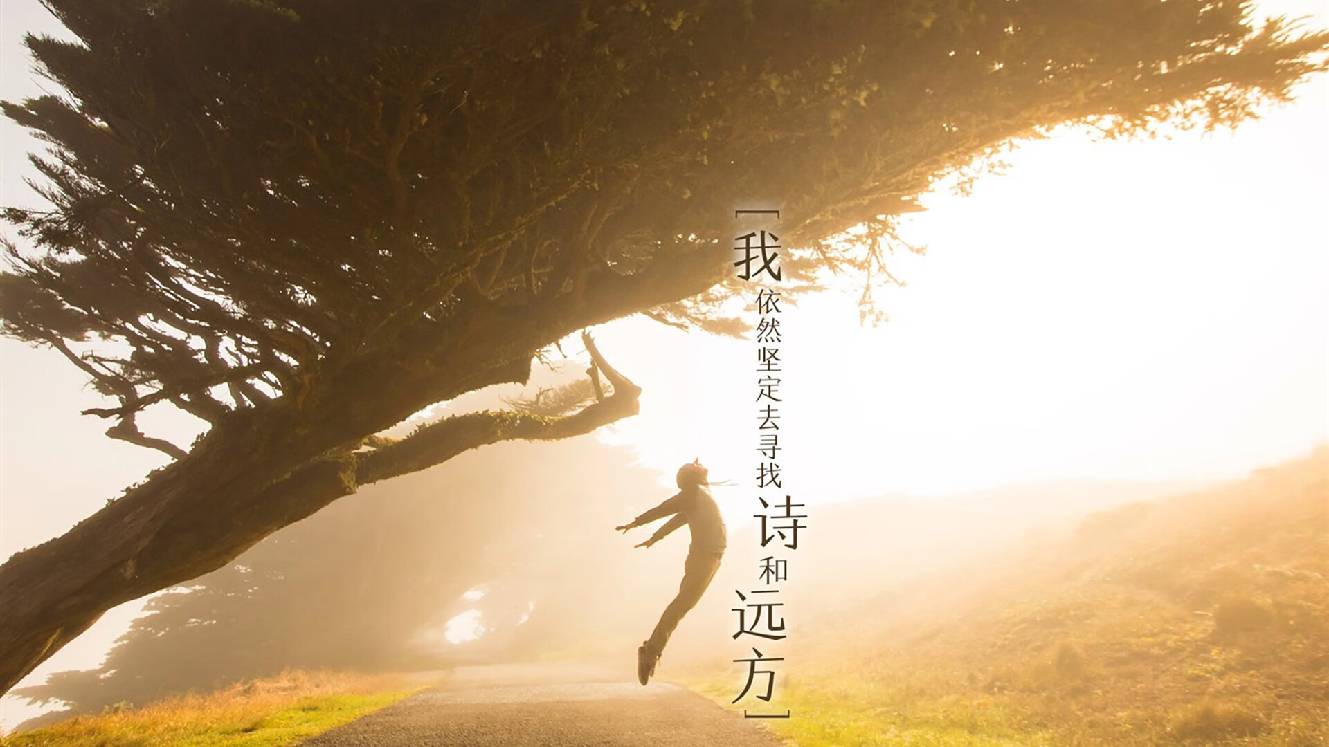 世界杯青春风暴：年轻球员崭露头角，足球青年世界杯